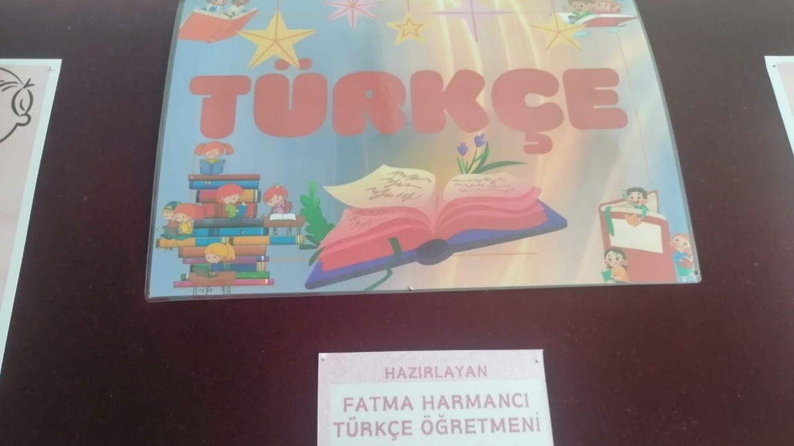 TÜRKÇE PANOMUZ